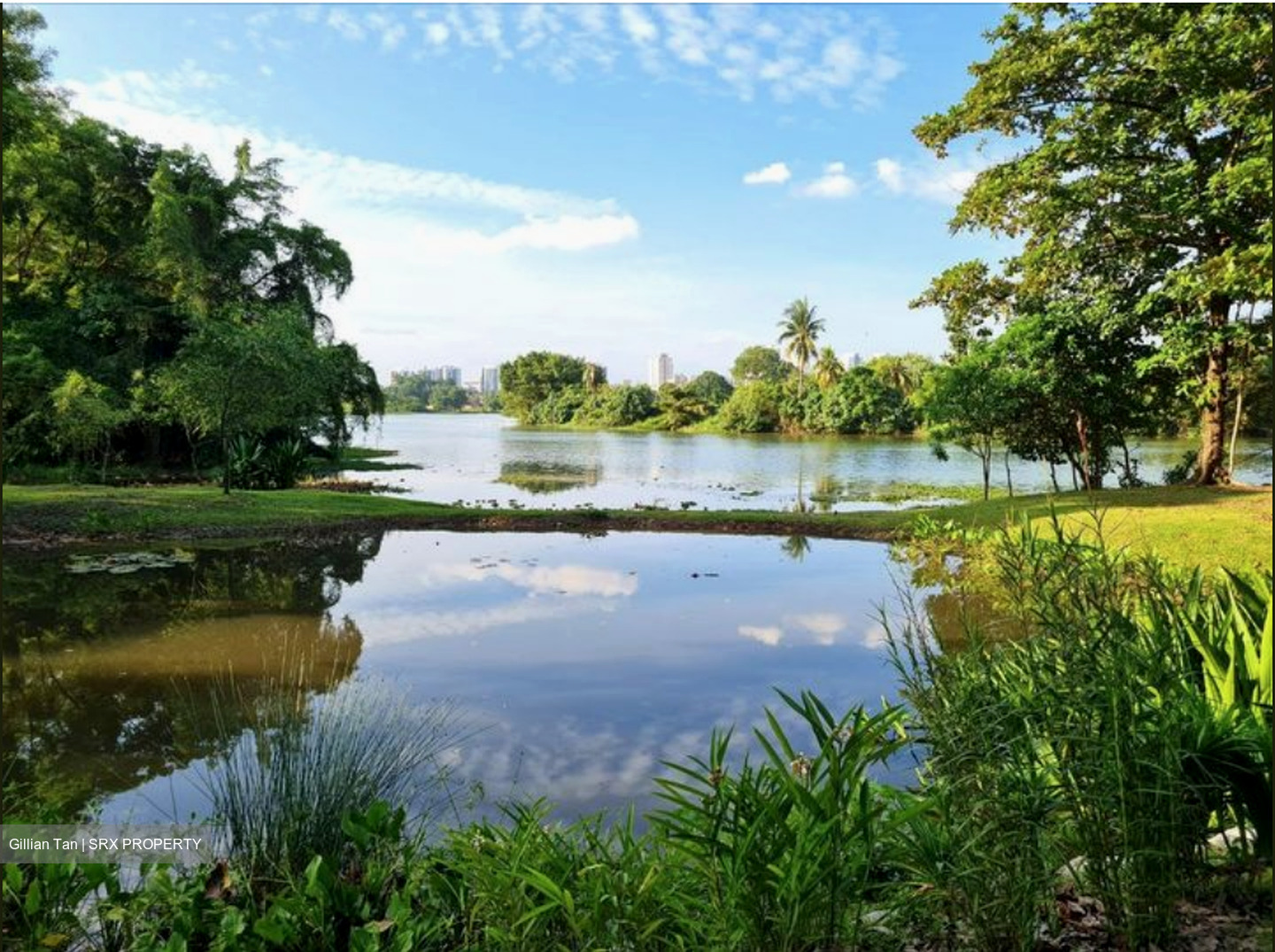 The LakeGarden Residences (D22), Condominium #582980901